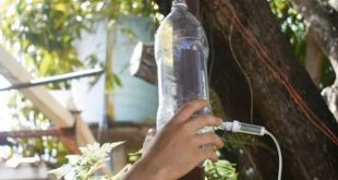 Mẹo tái chế chai nhựa thành vòi nước nhỏ giọt và tưới cây