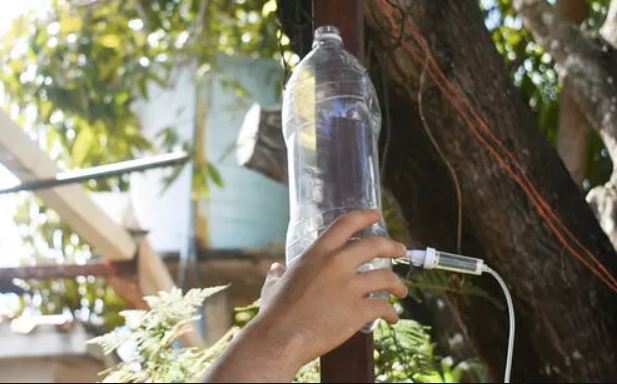 Mẹo tái chế chai nhựa thành vòi nước nhỏ giọt và tưới cây